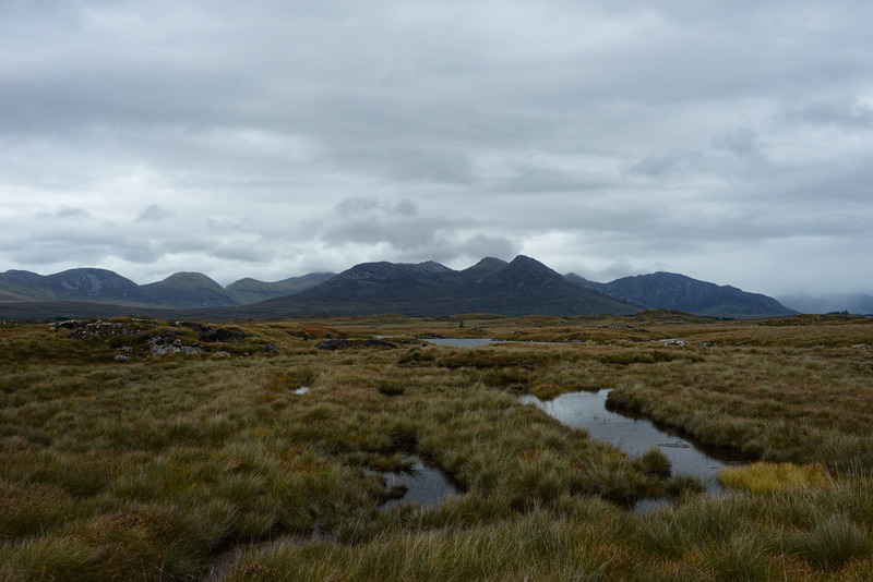 Trotz dichter Wolkendecke schön